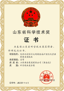 山東省科學技術(shù)獎